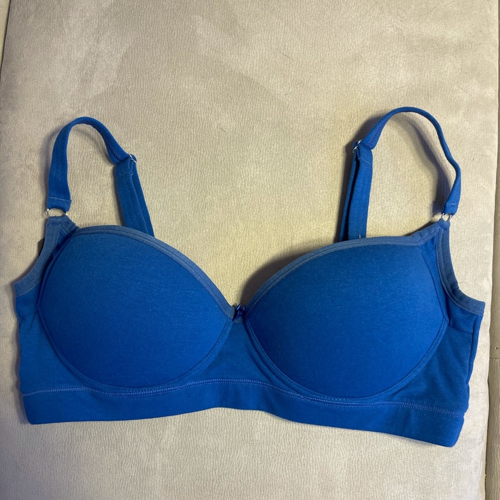 Plus size BlueBra.38c, 38d, 38a, 40a, 40b, & 36dd.